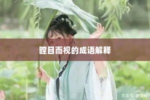 瞠目而视的成语解释