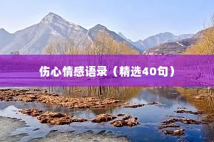 伤心情感语录（精选40句）