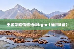 王者荣耀情感语录bgm（通用8篇）