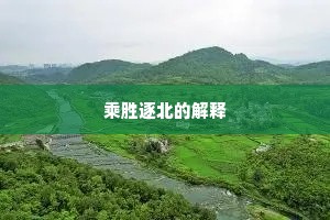 乘胜逐北的解释