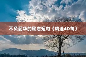 不负韶华的励志短句（精选40句）