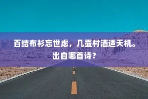 百结布衫忘世虑，几壶村酒适天机。出自哪首诗？