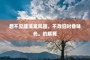 君不见建溪龙凤团，不改旧时香味色。的解释