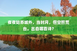 夜夜姑苏城外，当时月，但空照荒台。出自哪首诗？