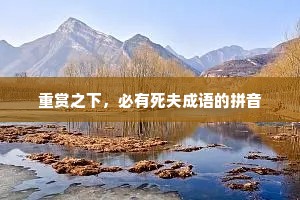 重赏之下，必有死夫成语的拼音