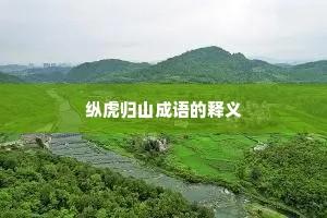 纵虎归山成语的释义