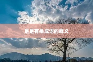 足足有余成语的释义