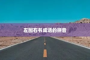 左图右书成语的拼音