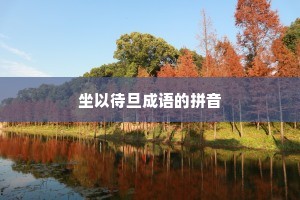 坐以待旦成语的拼音