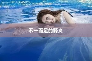 不一而足的释义