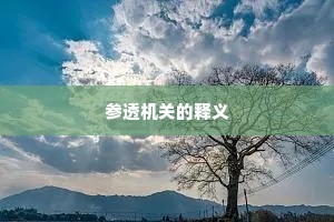 参透机关的释义