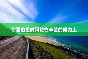 你害怕把时间花在辛苦的努力上