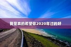 我是真的希望你2020年过的好