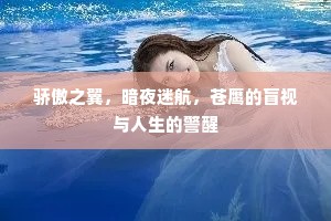 骄傲之翼，暗夜迷航，苍鹰的盲视与人生的警醒