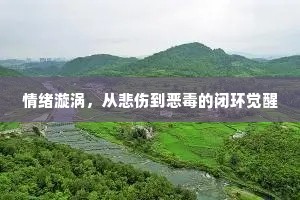 情绪漩涡，从悲伤到恶毒的闭环觉醒