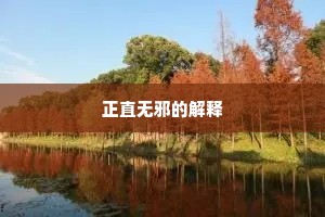 正直无邪的解释