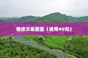 情感文案画面（通用40句）