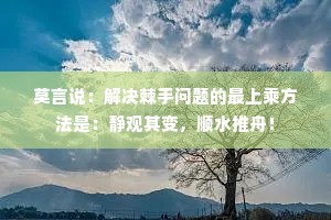 莫言说：解决棘手问题的最上乘方法是：静观其变，顺水推舟！