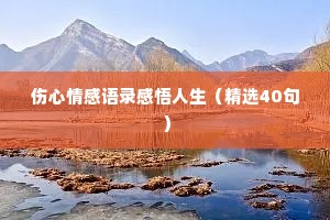 伤心情感语录感悟人生（精选40句）